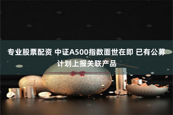 专业股票配资 中证A500指数面世在即 已有公募计划上报关联产品