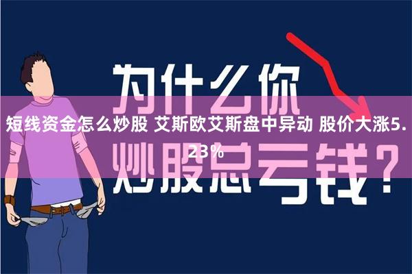 短线资金怎么炒股 艾斯欧艾斯盘中异动 股价大涨5.23%