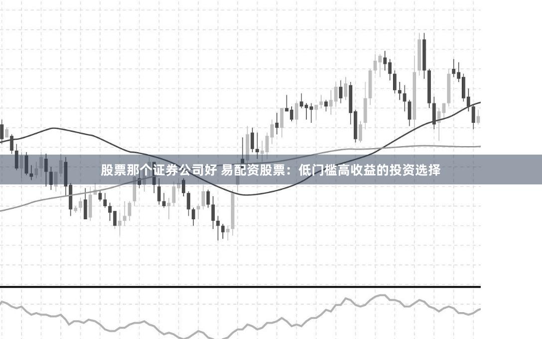股票那个证券公司好 易配资股票：低门槛高收益的投资选择