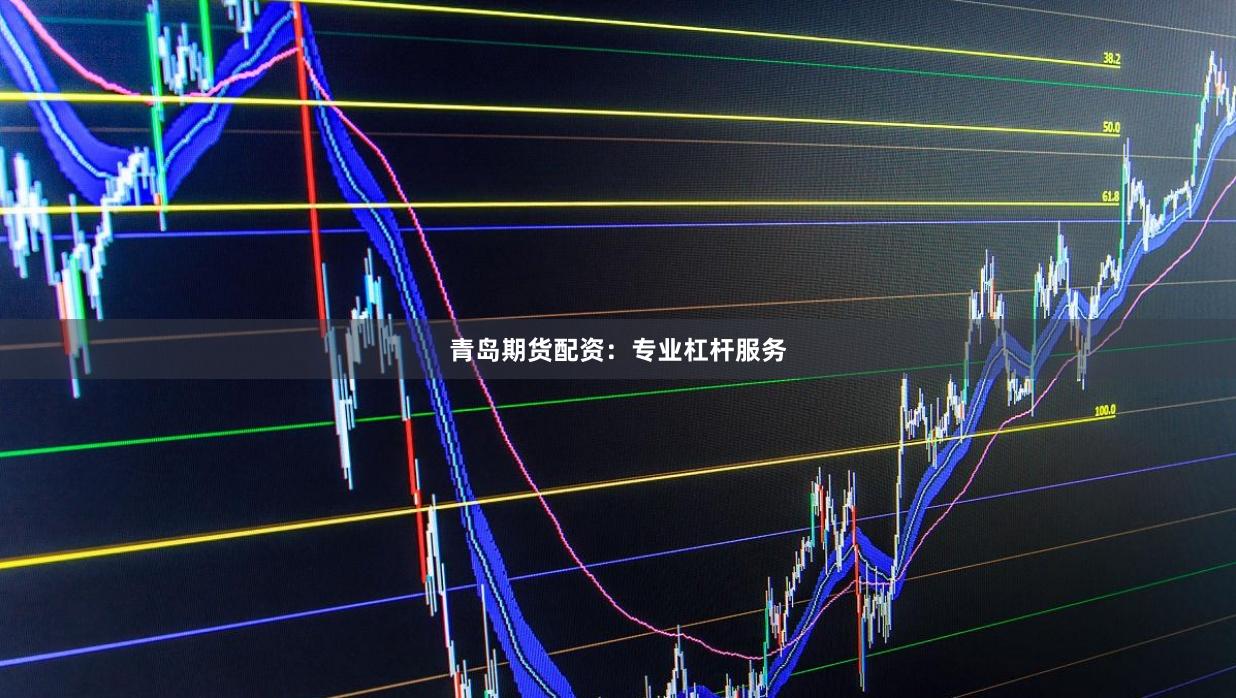 青岛期货配资:专业杠杆服务